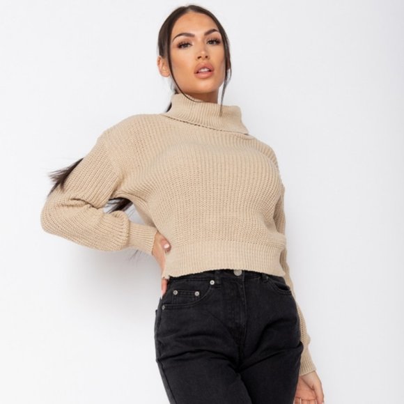 Beige Knitted Long Sleeve Turtle Neck Loose Fit Sweater Top - Picture 3 of 9